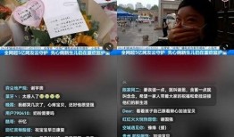 河南都市报道爆料视频,揭秘某事件背后惊人真相