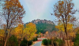 初冬爆料视频大全下载,捕捉冬日里的精彩瞬间